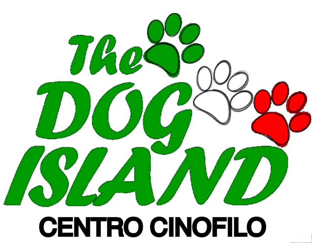 Addestramento Cani Torino e Provincia The Dog Island
